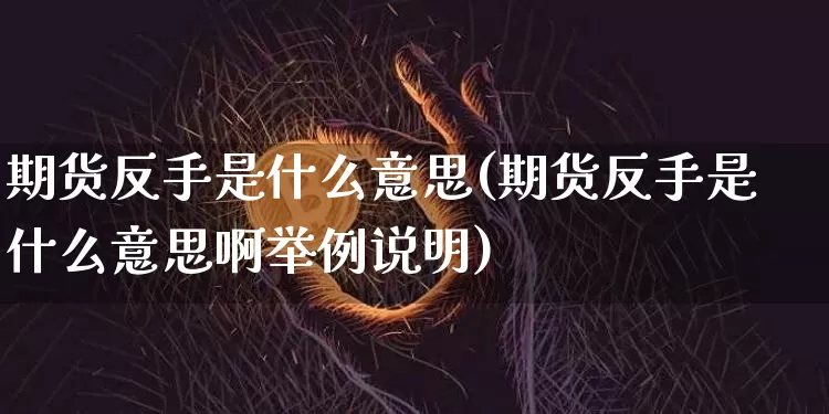 期货反手是什么意思(期货反手是什么意思啊举例说明)_https://www.czytfl.com_期货价格_第1张