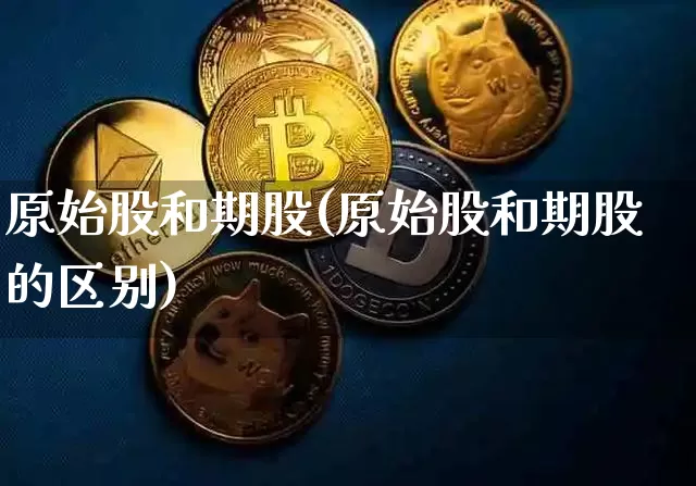 原始股和期股(原始股和期股的区别)_https://www.czytfl.com_期货行情_第1张