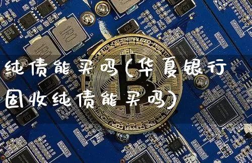 纯债能买吗(华夏银行固收纯债能买吗)_https://www.czytfl.com_期货价格_第1张