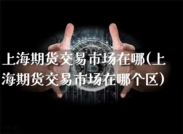 上海期货交易市场在哪(上海期货交易市场在哪个区)_https://www.czytfl.com_期货价格_第1张