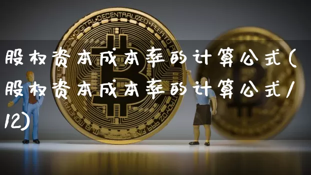 股权资本成本率的计算公式(股权资本成本率的计算公式/12)_https://www.czytfl.com_期货行情_第1张
