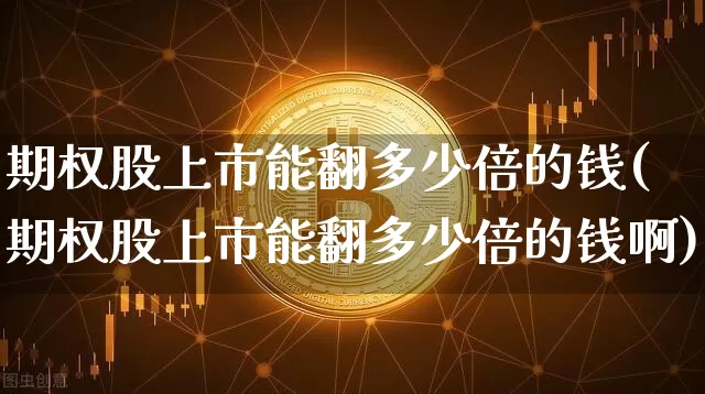 期权股上市能翻多少倍的钱(期权股上市能翻多少倍的钱啊)_https://www.czytfl.com_期货行情_第1张