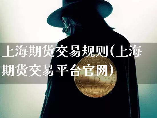 上海期货交易规则(上海期货交易平台官网)_https://www.czytfl.com_期货走势_第1张