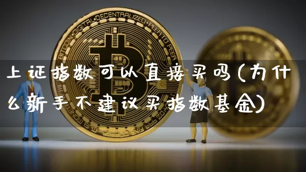 上证指数可以直接买吗(为什么新手不建议买指数基金)_https://www.czytfl.com_期货走势_第1张