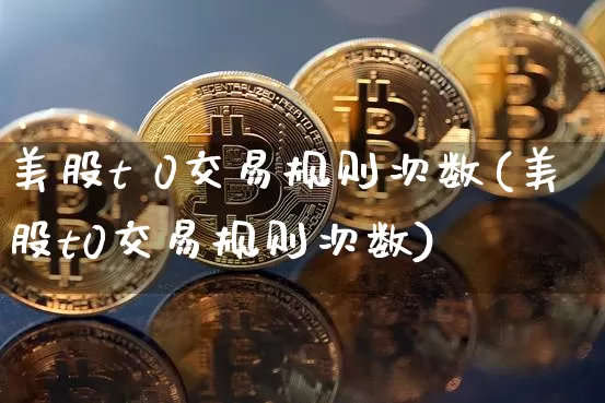 美股t 0交易规则次数(美股t0交易规则次数)_https://www.czytfl.com_期货_第1张