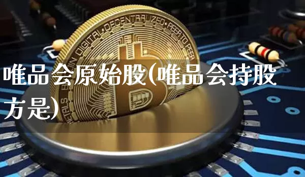 唯品会原始股(唯品会持股方是)_https://www.czytfl.com_期货走势_第1张