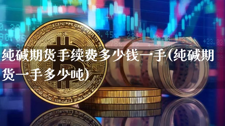 纯碱期货手续费多少钱一手(纯碱期货一手多少吨)_https://www.czytfl.com_期货行情_第1张