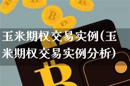 玉米期权交易实例(玉米期权交易实例分析)_https://www.czytfl.com_期货行情_第1张