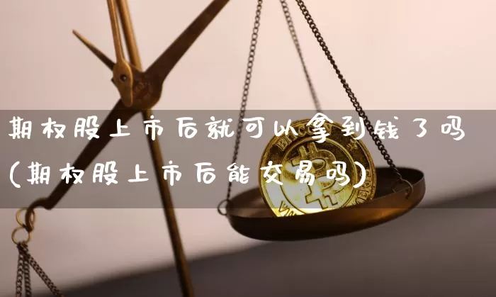 期权股上市后就可以拿到钱了吗(期权股上市后能交易吗)_https://www.czytfl.com_期货走势_第1张