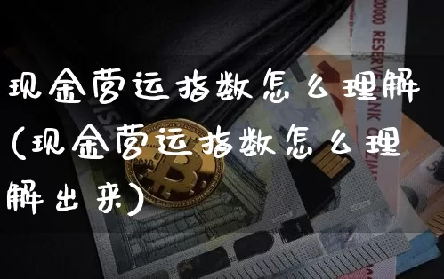 现金营运指数怎么理解(现金营运指数怎么理解出来)_https://www.czytfl.com_期货走势_第1张