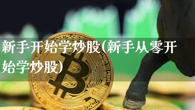 新手开始学炒股(新手从零开始学炒股)_https://www.czytfl.com_期货行情_第1张
