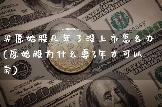 买原始股几年了没上市怎么办(原始股为什么要3年才可以卖)_https://www.czytfl.com_期货_第1张