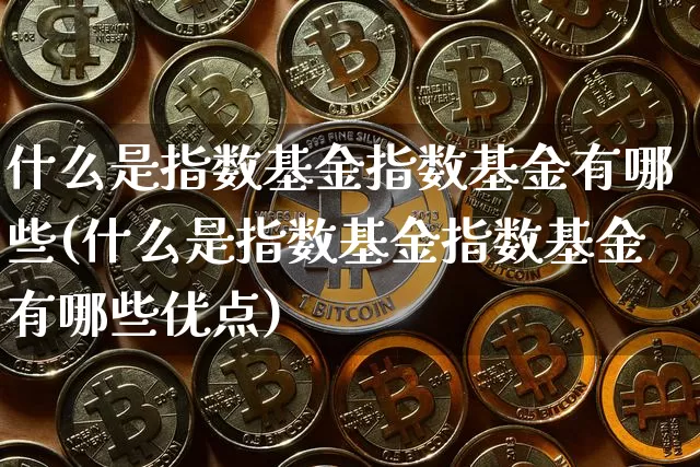 什么是指数基金指数基金有哪些(什么是指数基金指数基金有哪些优点)_https://www.czytfl.com_期货_第1张