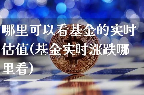 哪里可以看基金的实时估值(基金实时涨跌哪里看)_https://www.czytfl.com_期货走势_第1张