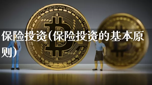 保险投资(保险投资的基本原则)_https://www.czytfl.com_期货_第1张