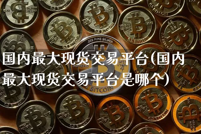 国内最大现货交易平台(国内最大现货交易平台是哪个)_https://www.czytfl.com_期货行情_第1张
