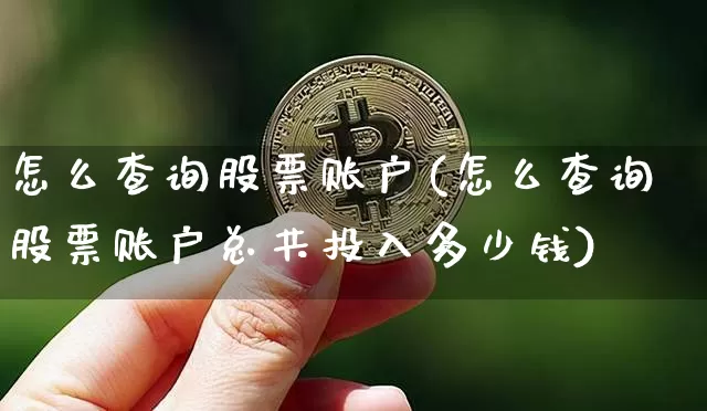 怎么查询股票账户(怎么查询股票账户总共投入多少钱)_https://www.czytfl.com_期货走势_第1张