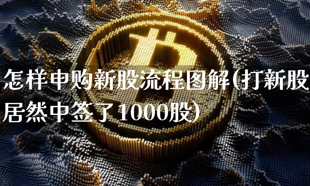 怎样申购新股流程图解(打新股居然中签了1000股)_https://www.czytfl.com_期货行情_第1张