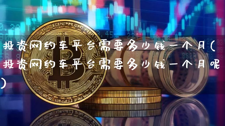 投资网约车平台需要多少钱一个月(投资网约车平台需要多少钱一个月呢)_https://www.czytfl.com_期货走势_第1张