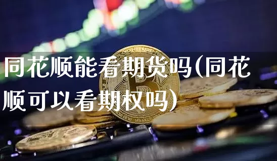 同花顺能看期货吗(同花顺可以看期权吗)_https://www.czytfl.com_期货价格_第1张