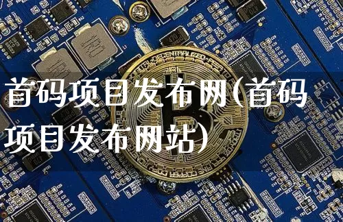 首码项目发布网(首码项目发布网站)_https://www.czytfl.com_期货行情_第1张