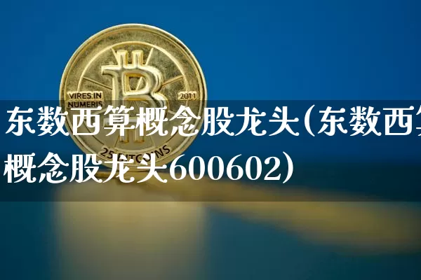 东数西算概念股龙头(东数西算概念股龙头600602)_https://www.czytfl.com_期货_第1张