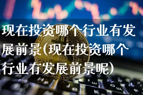 现在投资哪个行业有发展前景(现在投资哪个行业有发展前景呢)_https://www.czytfl.com_期货_第1张