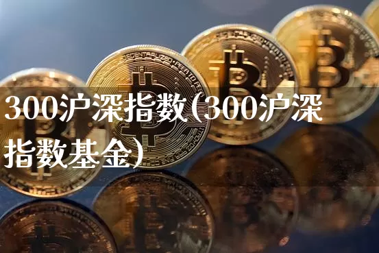300沪深指数(300沪深指数基金)_https://www.czytfl.com_期货价格_第1张