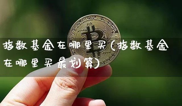 指数基金在哪里买(指数基金在哪里买最划算)_https://www.czytfl.com_期货价格_第1张
