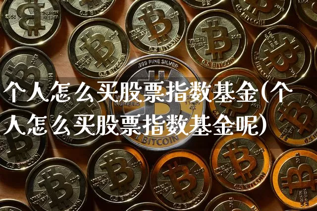 个人怎么买股票指数基金(个人怎么买股票指数基金呢)_https://www.czytfl.com_期货价格_第1张