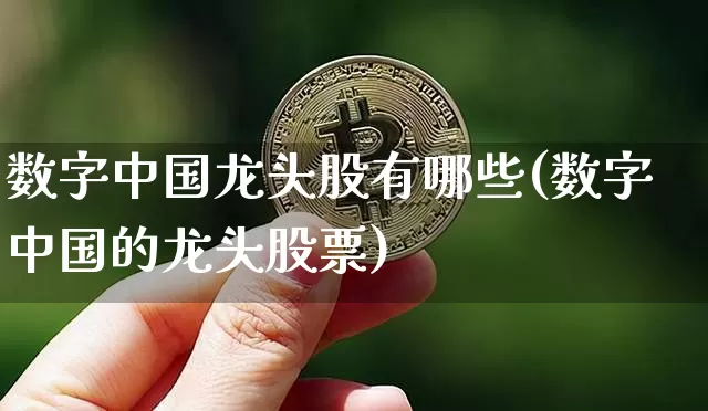 数字中国龙头股有哪些(数字中国的龙头股票)_https://www.czytfl.com_期货价格_第1张