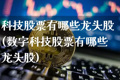 科技股票有哪些龙头股(数字科技股票有哪些龙头股)_https://www.czytfl.com_期货_第1张