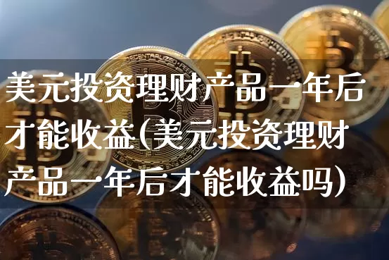 美元投资理财产品一年后才能收益(美元投资理财产品一年后才能收益吗)_https://www.czytfl.com_期货_第1张
