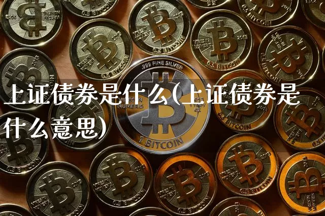 上证债券是什么(上证债券是什么意思)_https://www.czytfl.com_期货价格_第1张
