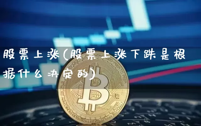 股票上涨(股票上涨下跌是根据什么决定的)_https://www.czytfl.com_期货_第1张