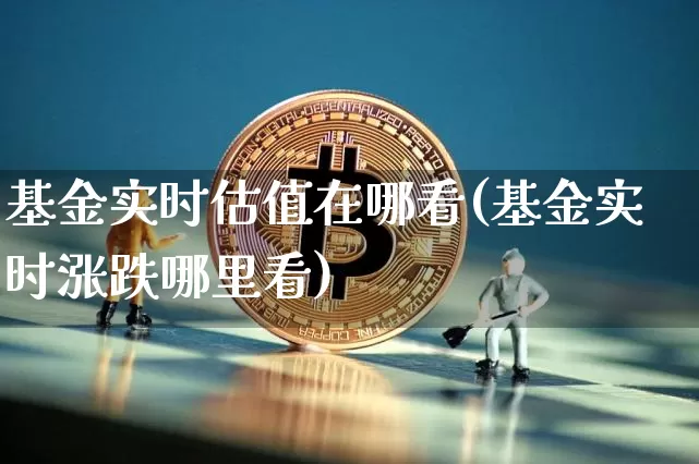 基金实时估值在哪看(基金实时涨跌哪里看)_https://www.czytfl.com_期货走势_第1张