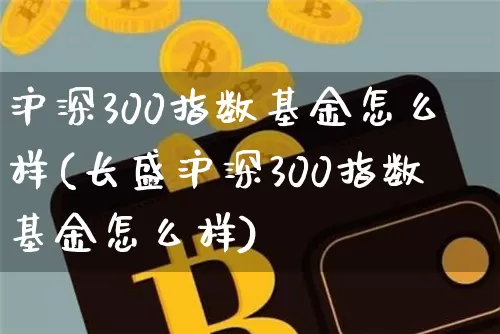 沪深300指数基金怎么样(长盛沪深300指数基金怎么样)_https://www.czytfl.com_期货走势_第1张