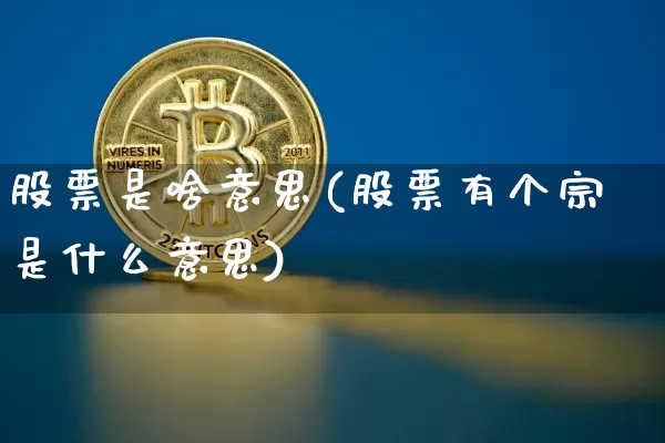 股票是啥意思(股票有个宗是什么意思)_https://www.czytfl.com_期货走势_第1张