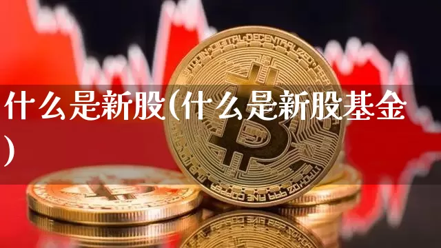 什么是新股(什么是新股基金)_https://www.czytfl.com_期货价格_第1张