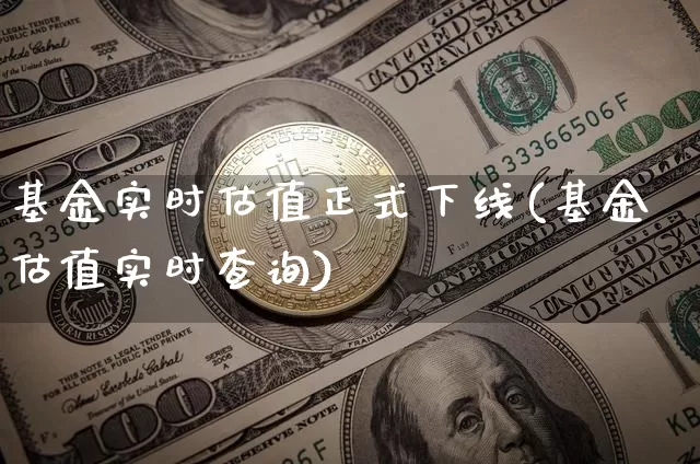 基金实时估值正式下线(基金估值实时查询)_https://www.czytfl.com_期货走势_第1张