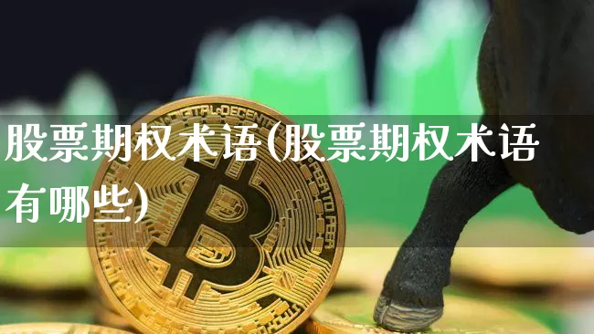 股票期权术语(股票期权术语有哪些)_https://www.czytfl.com_期货行情_第1张
