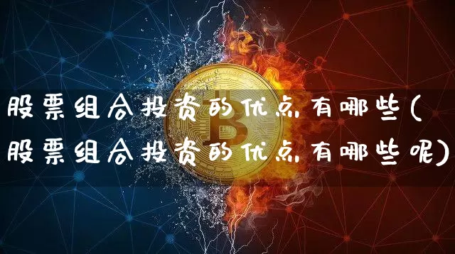 股票组合投资的优点有哪些(股票组合投资的优点有哪些呢)_https://www.czytfl.com_期货_第1张