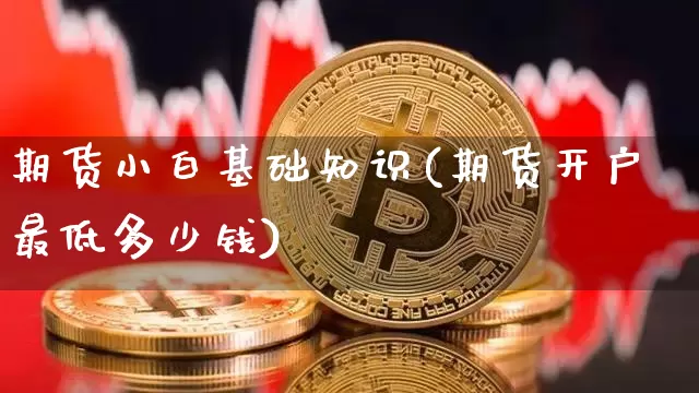 期货小白基础知识(期货开户最低多少钱)_https://www.czytfl.com_期货行情_第1张