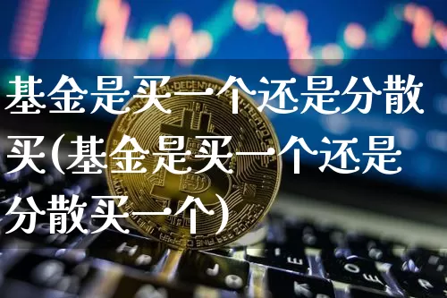 基金是买一个还是分散买(基金是买一个还是分散买一个)_https://www.czytfl.com_期货走势_第1张