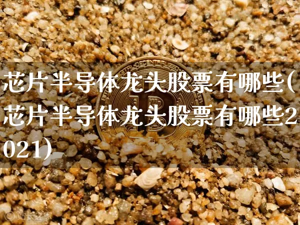芯片半导体龙头股票有哪些(芯片半导体龙头股票有哪些2021)_https://www.czytfl.com_期货走势_第1张