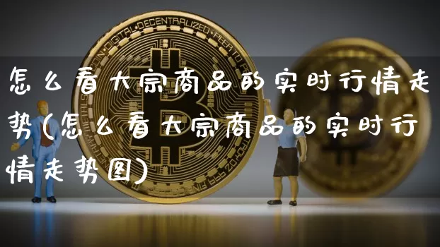 怎么看大宗商品的实时行情走势(怎么看大宗商品的实时行情走势图)_https://www.czytfl.com_期货行情_第1张