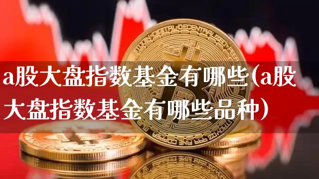 a股大盘指数基金有哪些(a股大盘指数基金有哪些品种)_https://www.czytfl.com_期货价格_第1张