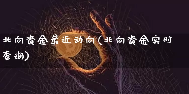 北向资金最近动向(北向资金实时查询)_https://www.czytfl.com_期货走势_第1张