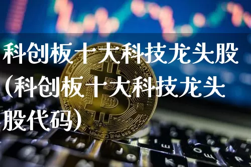 科创板十大科技龙头股(科创板十大科技龙头股代码)_https://www.czytfl.com_期货_第1张