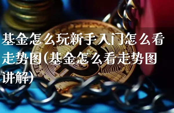 基金怎么玩新手入门怎么看走势图(基金怎么看走势图讲解)_https://www.czytfl.com_期货价格_第1张